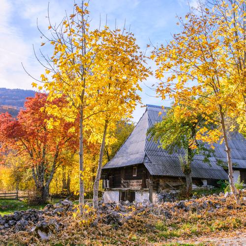 Autumn in front of the old house door