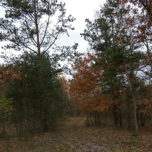 Photo #2022523