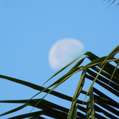 Bright Day with Moon