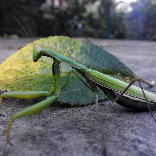 Photo #2023361