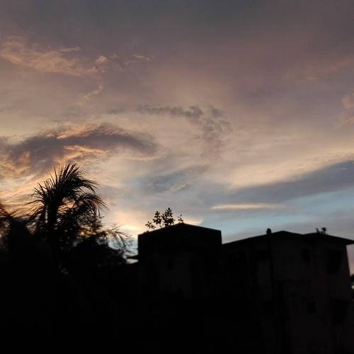 Photo #2023584