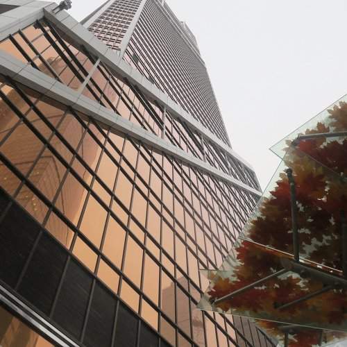 Photo #2024435