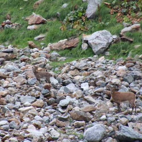 Photo #2024640
