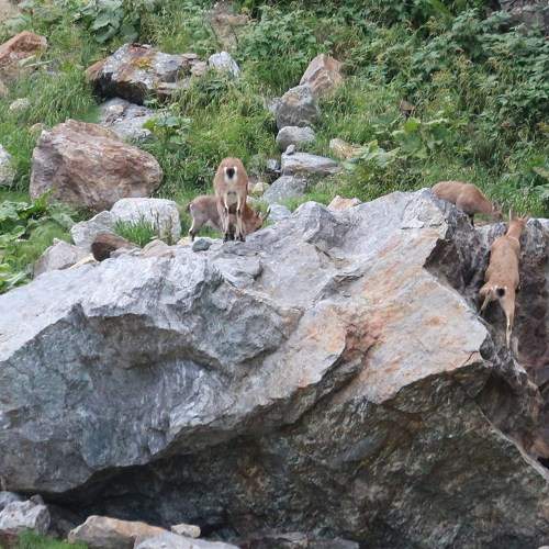 Photo #2024642