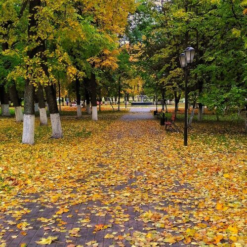 Октябрьский день в парке Липки