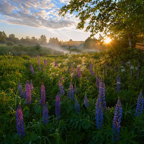 Рассветная пора.