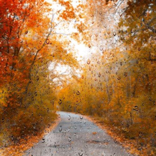 Слезы осени
