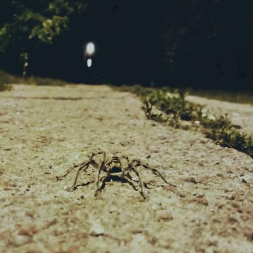 Photo #2026148