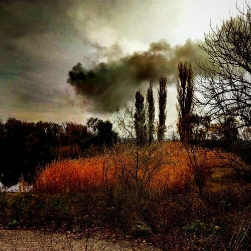 Photo #2026154