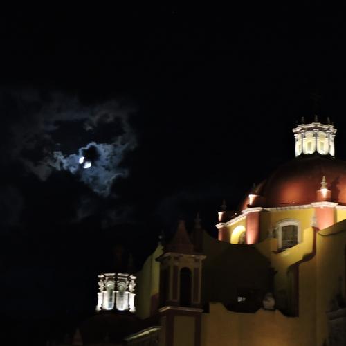 Dragon stalking Guanajuato