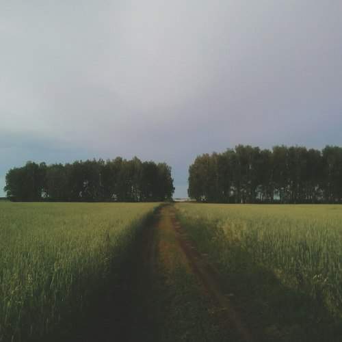 Photo #2027116