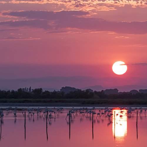 Закат в Камарге (Прованс)