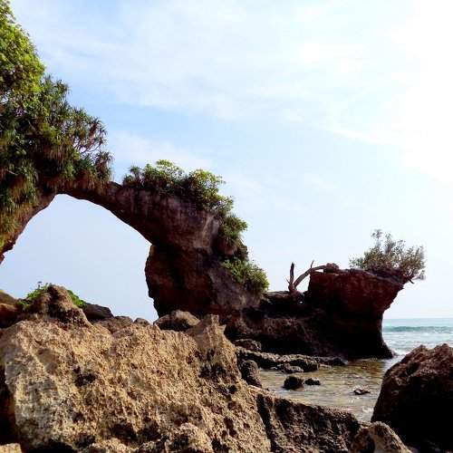Seascapes