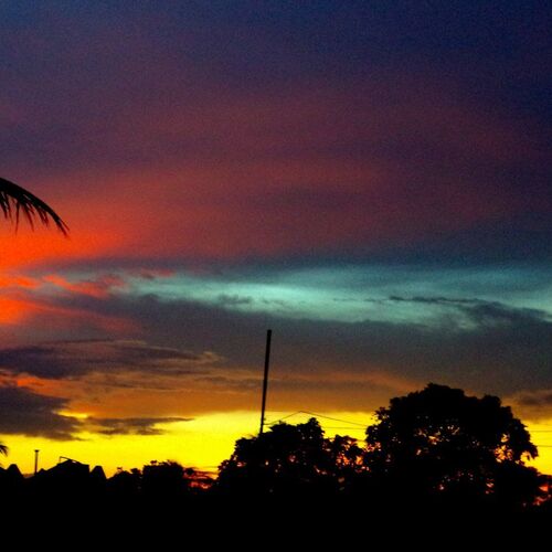 Sunset and Silhouette