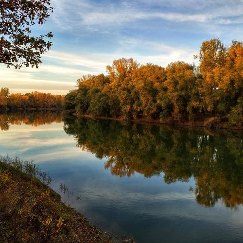 Photo #2028985