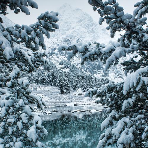 Let it snow. Пусть идет снег!