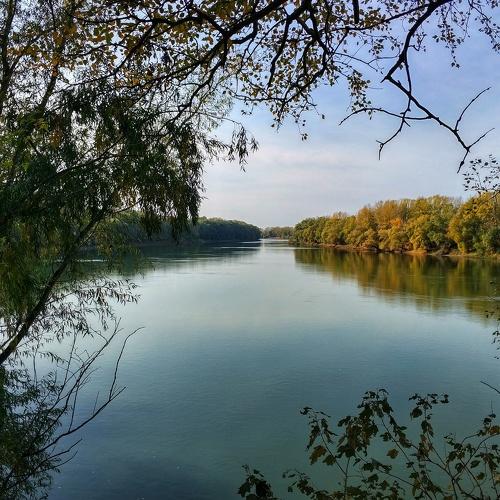 Photo #2029000