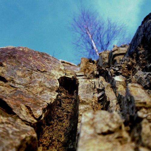Photo #2029400