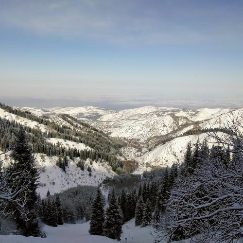 ЕЛИКСАЙ