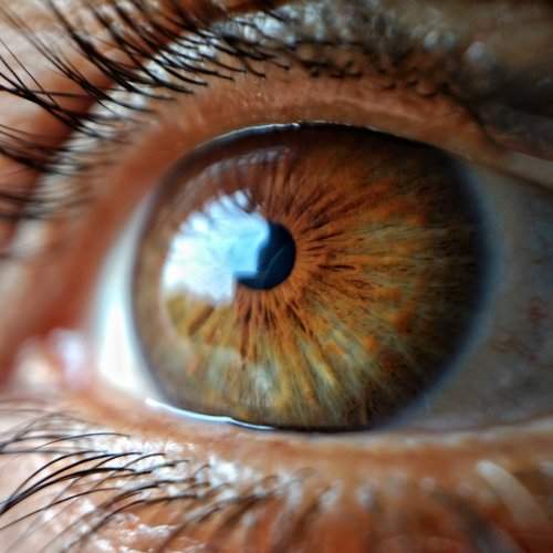 Natural lens