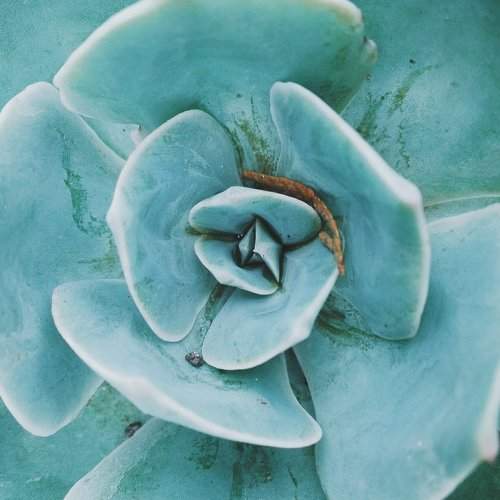 Turquoise