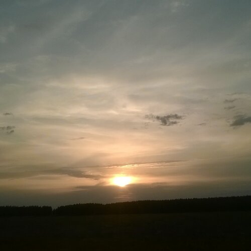 Photo #2033043