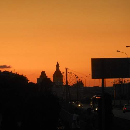 Photo #2033221
