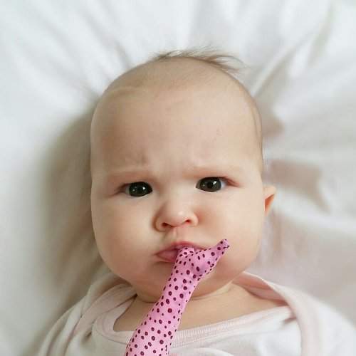 Photo #2033262