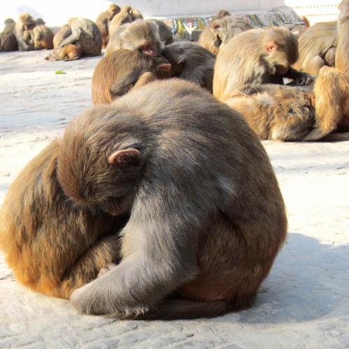 Warm Hug