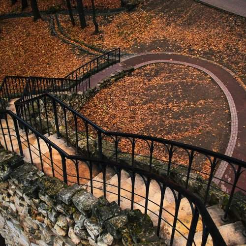 Photo #2033430