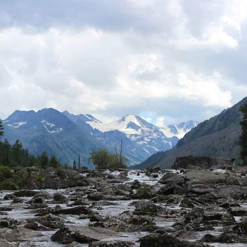 Photo #2033694