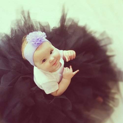 Photo #2033839