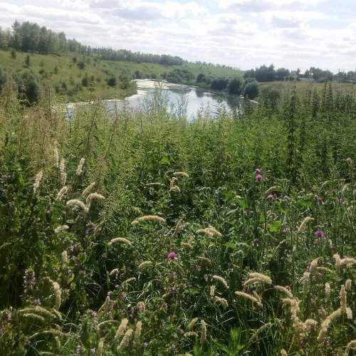 Photo #2036908