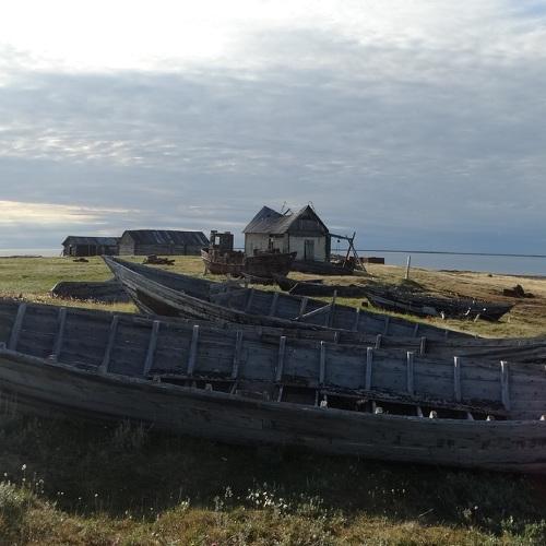 Мыс Входной. Берег Карского моря.