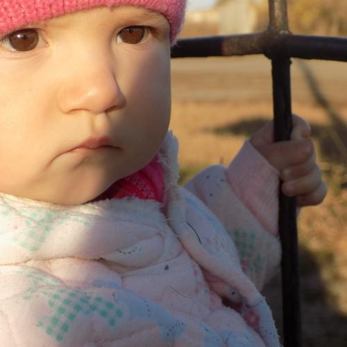 Photo #2037338