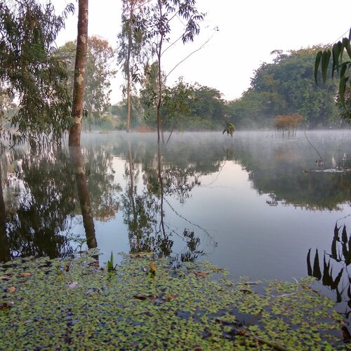 Early morning on river bed