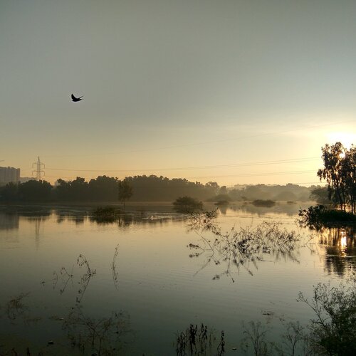 Beautiful morning