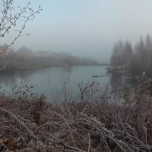 Mystical morning