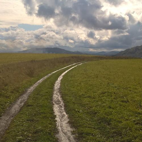Дорога