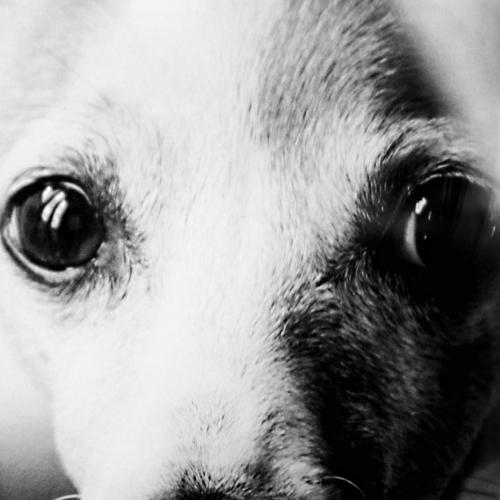 Scary Eyes