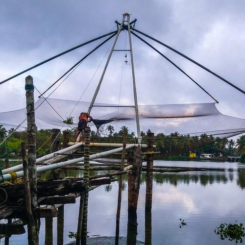 Hardworking Fisherman