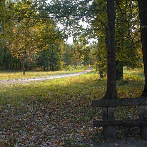 В парке Марьино