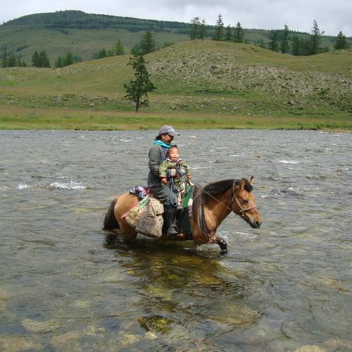 Boy's travel