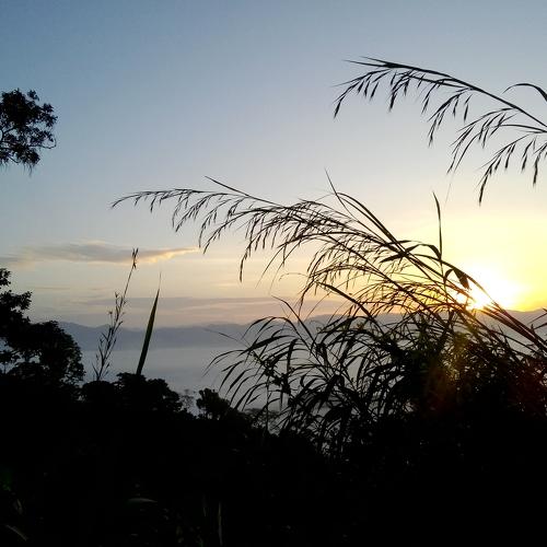 morning