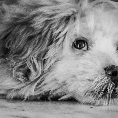 deep thoughts...