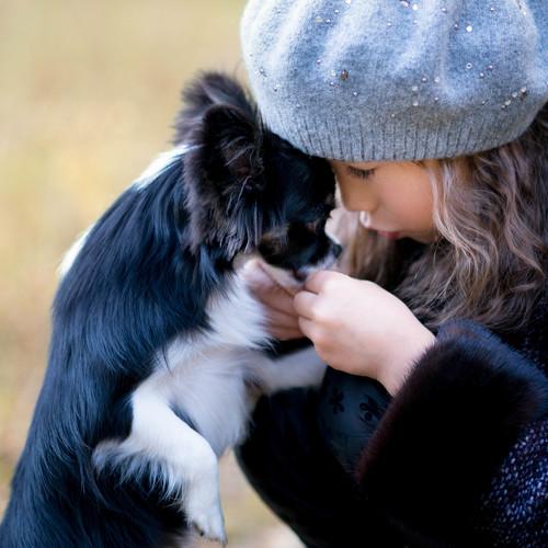 Photo #2043383