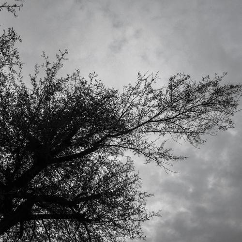 Photo #2043406