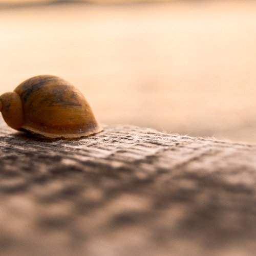 Photo #2045403