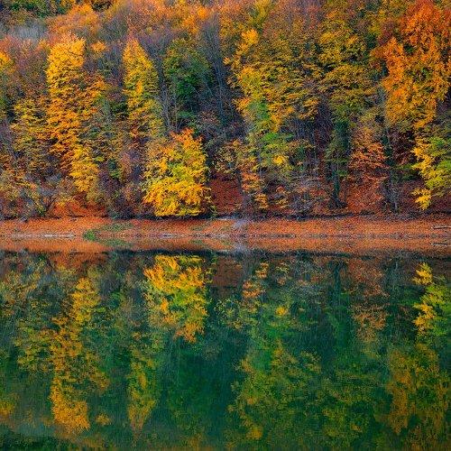Зазеркалье