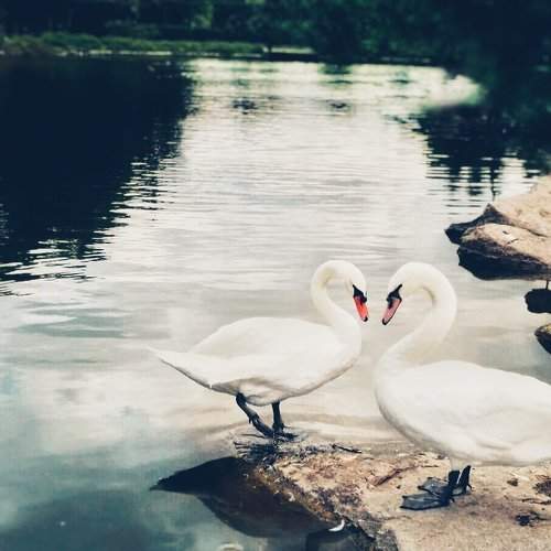 Photo #2046421